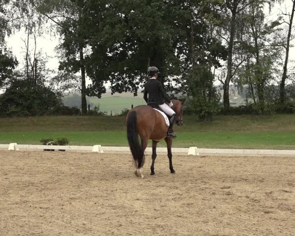 Reitturnier Niederzeuzheim 2023