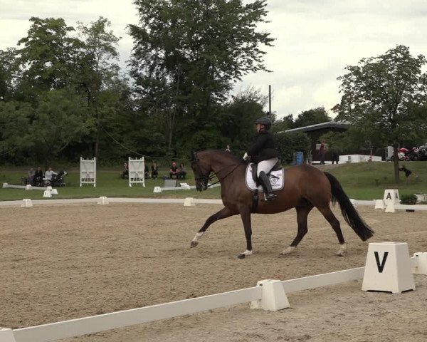 Reitturnier Niederzeuzheim 2023