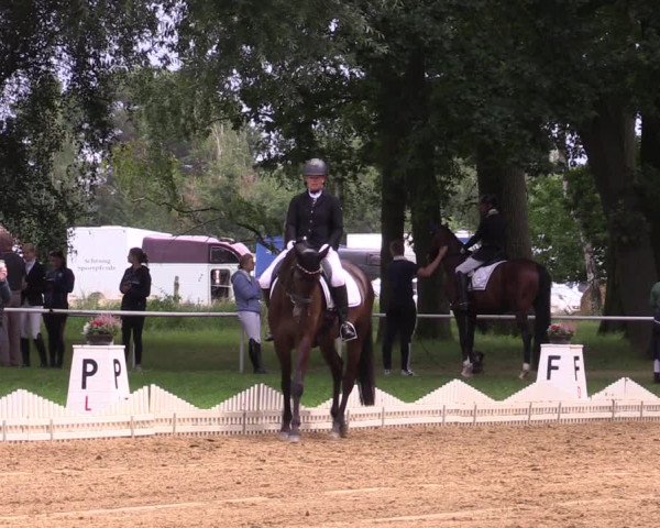 Reitturnier Zobbenitz 2023