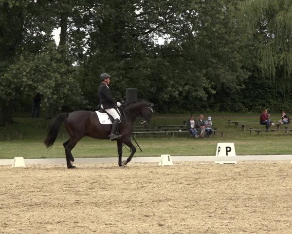 Reitturnier Niederzeuzheim 2023