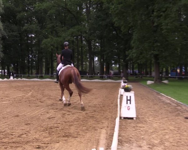 Reitturnier Zobbenitz 2023