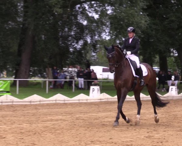 Reitturnier Zobbenitz 2023