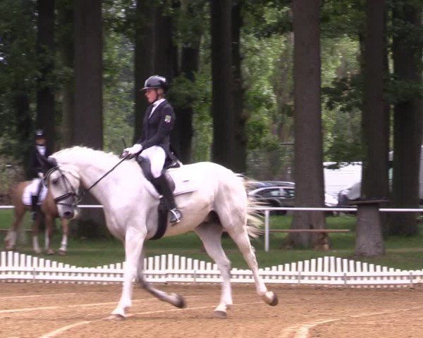 Reitturnier Zobbenitz 2023