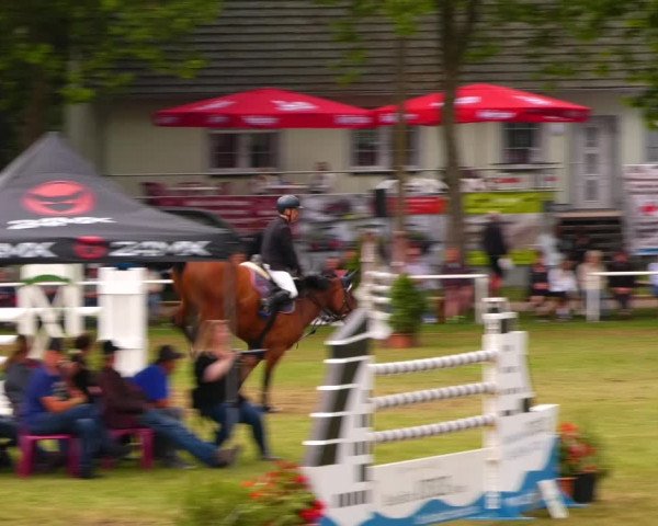 Reitturnier Zobbenitz 2023