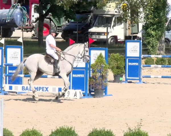 Reitturnier Basel Schänzli 2021