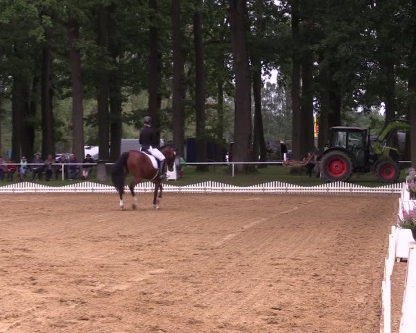 Reitturnier Zobbenitz 2023