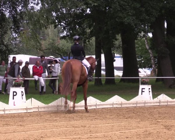 Reitturnier Zobbenitz 2023