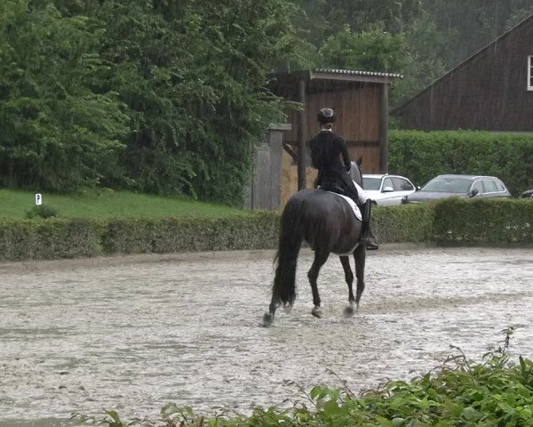 Reitturnier Olfen-Vinnum 2023