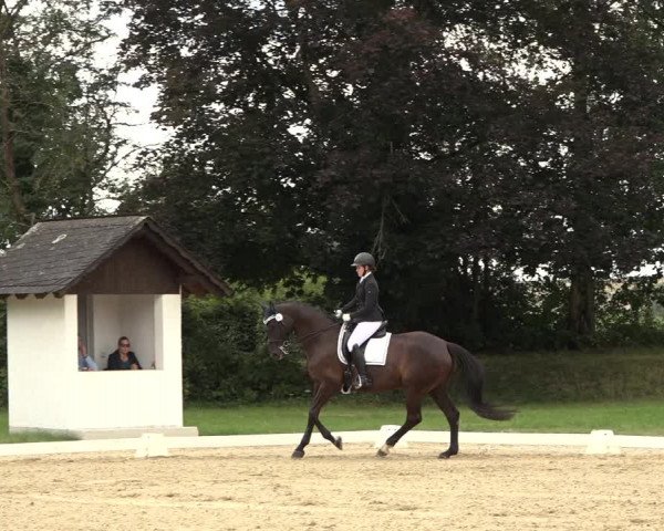 Reitturnier Niederzeuzheim 2023
