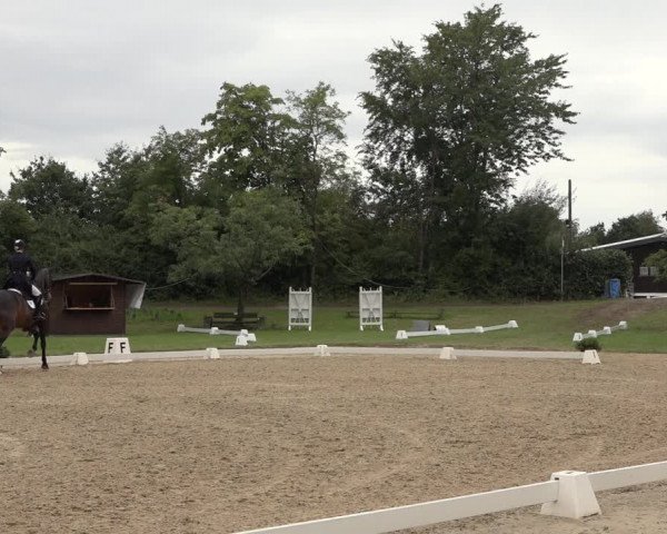 Reitturnier Niederzeuzheim 2023