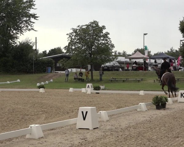 Reitturnier Niederzeuzheim 2023