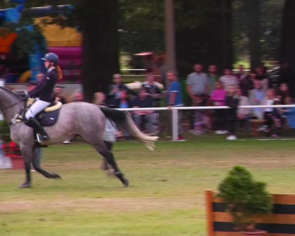 Reitturnier Zobbenitz 2023