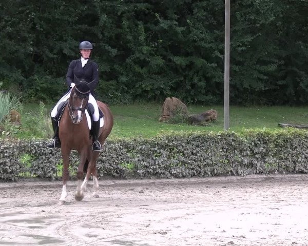 Reitturnier Olfen-Vinnum 2023