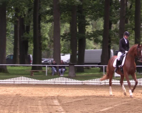 Reitturnier Zobbenitz 2023