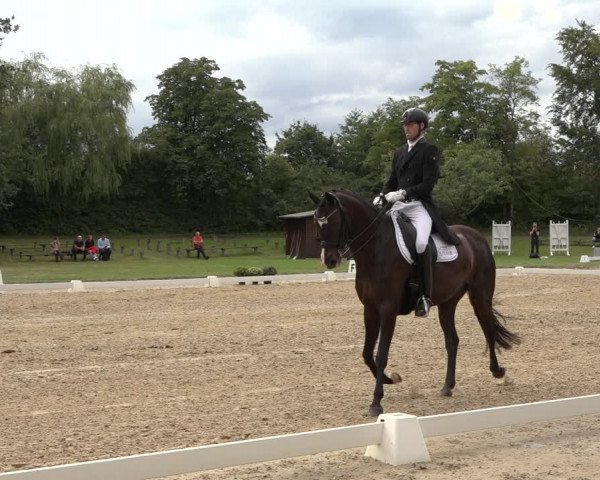 Reitturnier Niederzeuzheim 2023