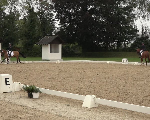 Reitturnier Niederzeuzheim 2023