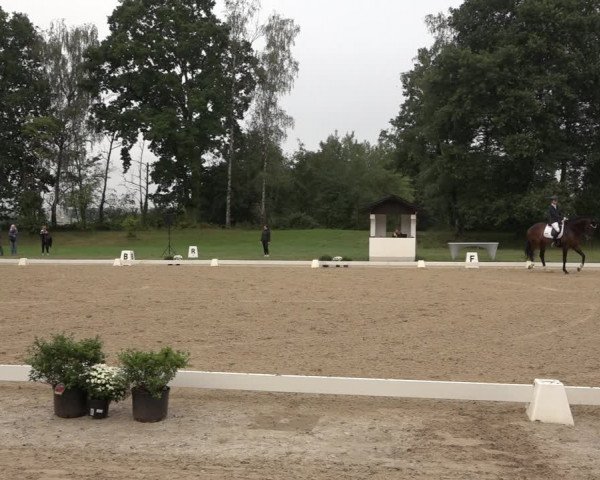Reitturnier Niederzeuzheim 2023