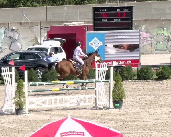 Reitturnier Basel Schänzli 2021