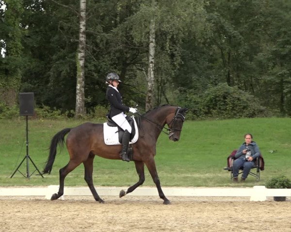 Reitturnier Niederzeuzheim 2023