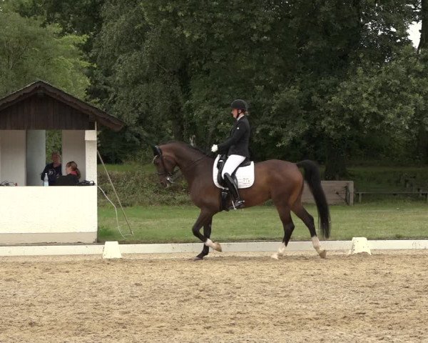 Reitturnier Niederzeuzheim 2023