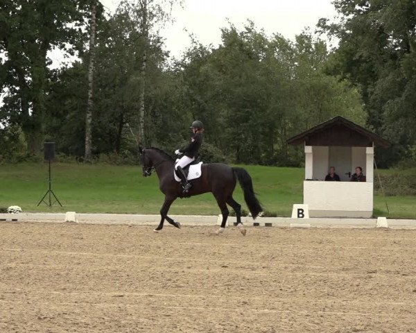 Reitturnier Niederzeuzheim 2023