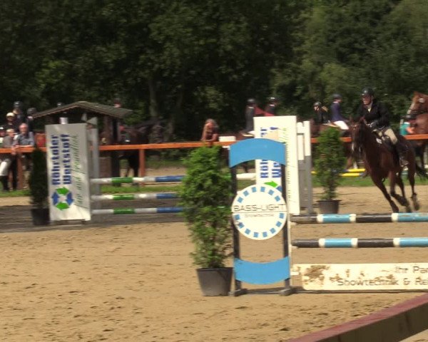 Reitturnier Arnsberg-Holzen 2023