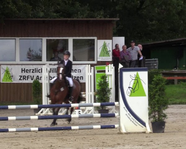 Reitturnier Arnsberg-Holzen 2023
