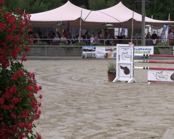Reitturnier Olfen-Vinnum 2023