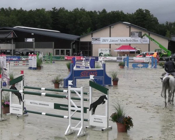 Reitturnier Olfen-Vinnum 2023