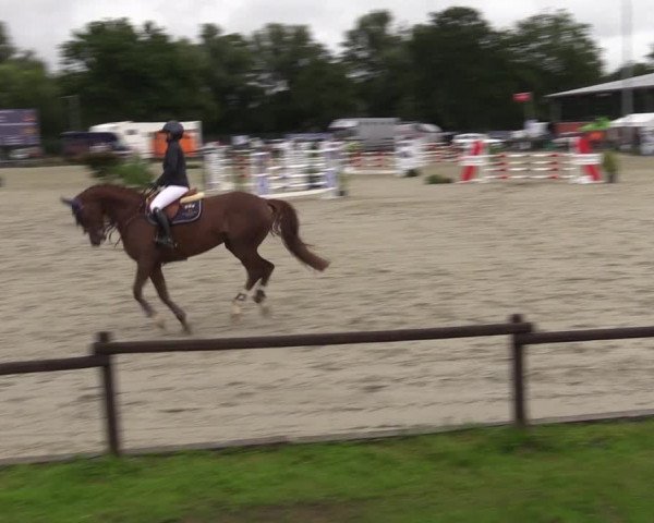 Reitturnier Nettetal-Lobberich 2023