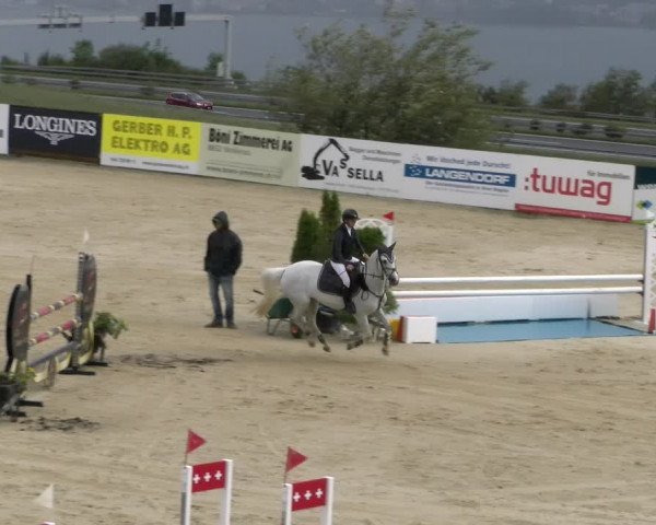 Reitturnier Wädenswil 2023
