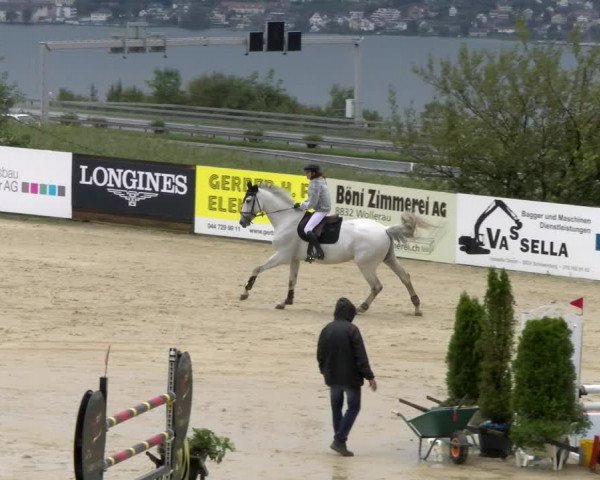 Reitturnier Wädenswil 2023