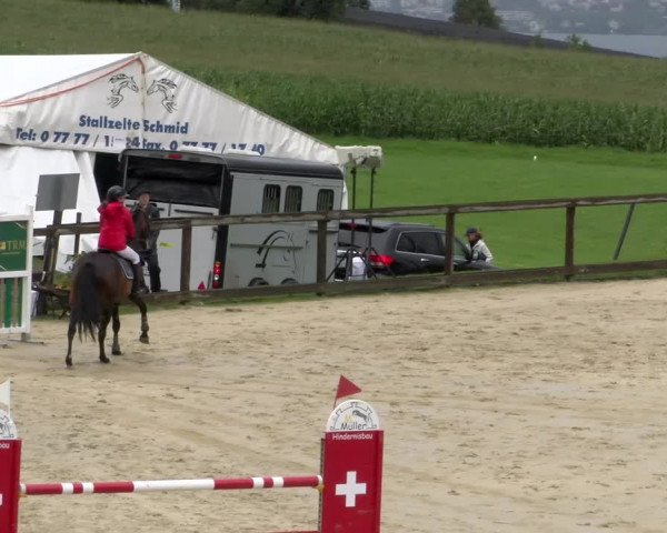 Reitturnier Wädenswil 2023