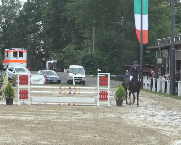 Reitturnier Niederzeuzheim 2023