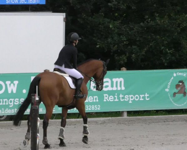 Reitturnier Alvern 2023