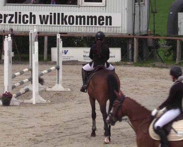Reitturnier Monschau-Mützenich 2023