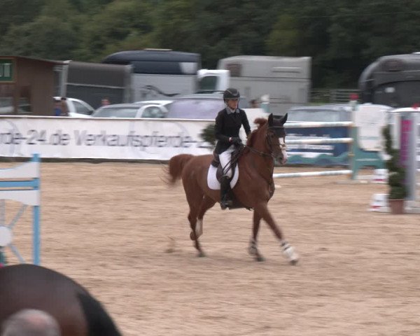 Reitturnier Ranshofen - Braunau am Inn 2023