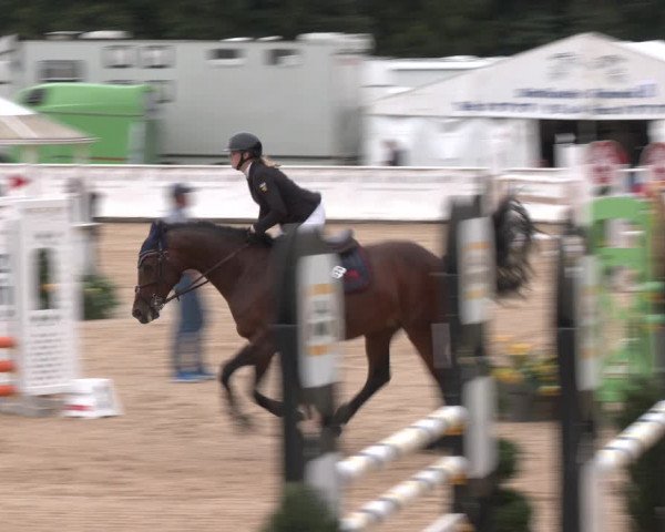 Reitturnier Ranshofen - Braunau am Inn 2023