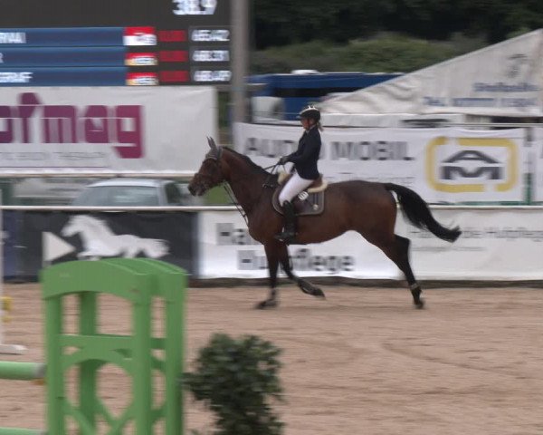 Reitturnier Ranshofen - Braunau am Inn 2023