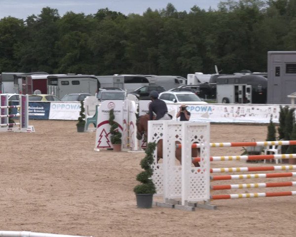 Reitturnier Ranshofen - Braunau am Inn 2023