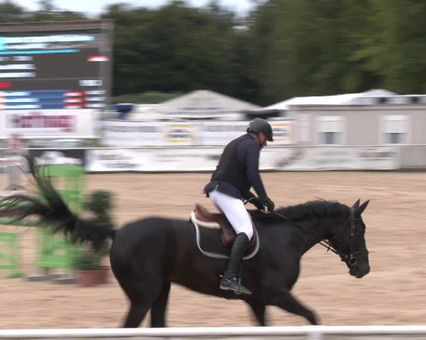 Reitturnier Ranshofen - Braunau am Inn 2023