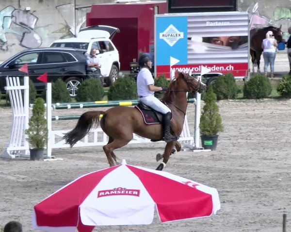 Reitturnier Basel Schänzli 2021