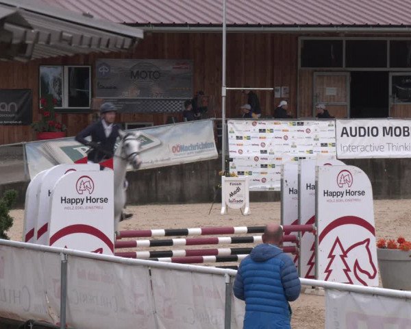 Reitturnier Ranshofen - Braunau am Inn 2023