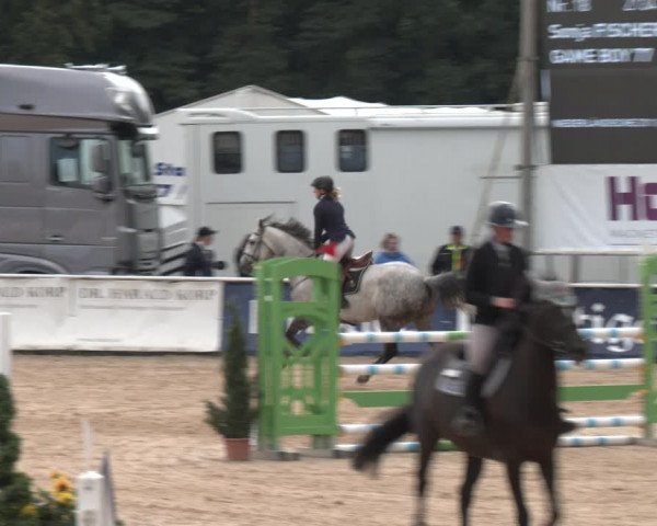 Reitturnier Ranshofen - Braunau am Inn 2023