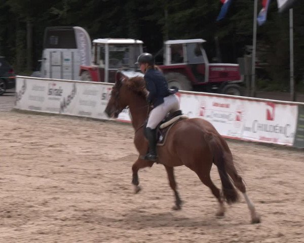 Reitturnier Ranshofen - Braunau am Inn 2023