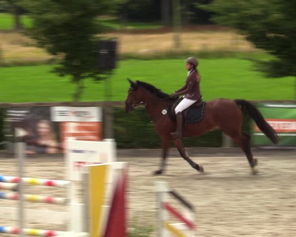 Reitturnier Monschau-Mützenich 2023
