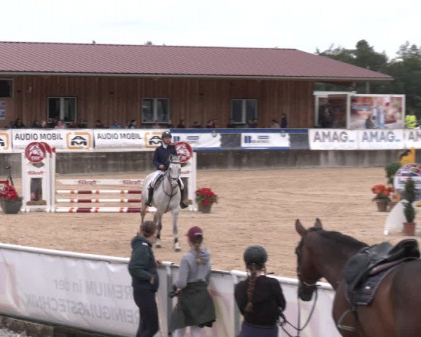 Reitturnier Ranshofen - Braunau am Inn 2023