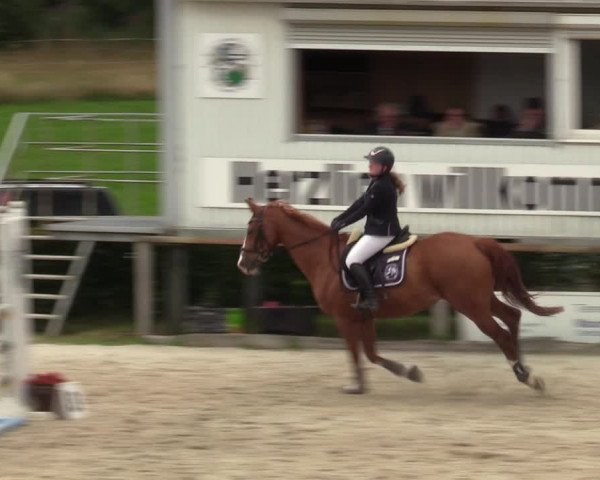 Reitturnier Monschau-Mützenich 2023