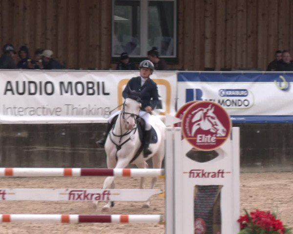 Reitturnier Ranshofen - Braunau am Inn 2023