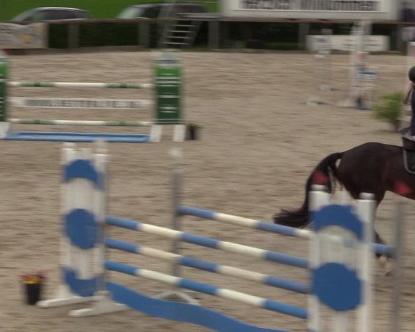 Reitturnier Monschau-Mützenich 2023